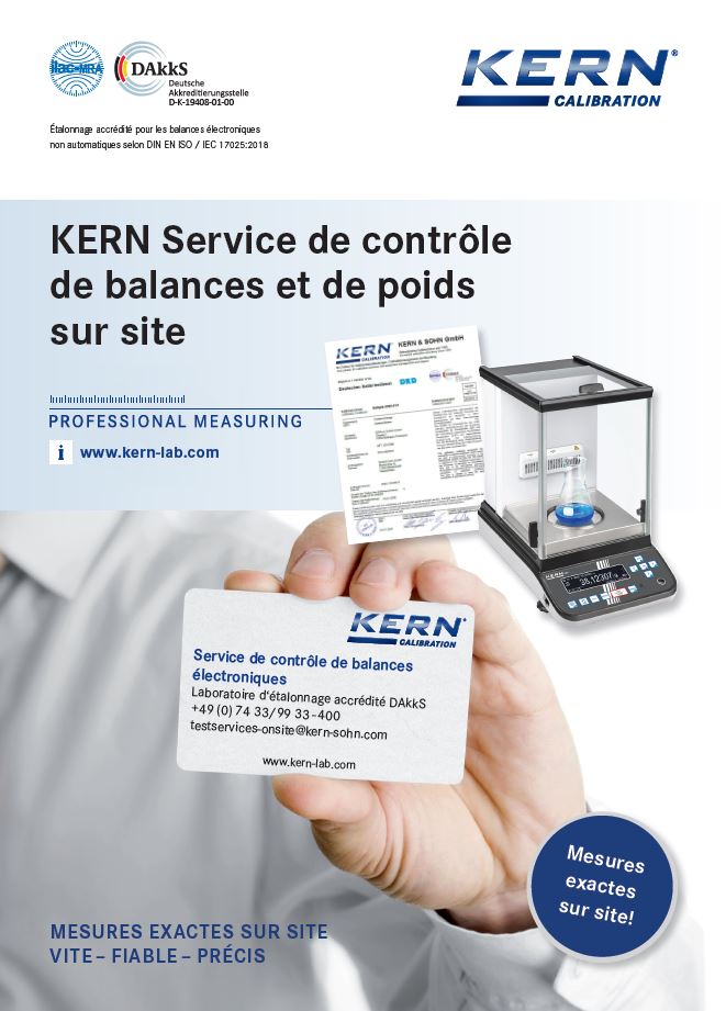 Flyer service de contrôle sur site français
